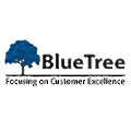 Bluetree Consultancy Services