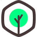 Oak Technology